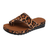 Leopardo